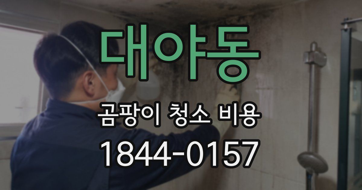 대야동 곰팡이 청소 비용