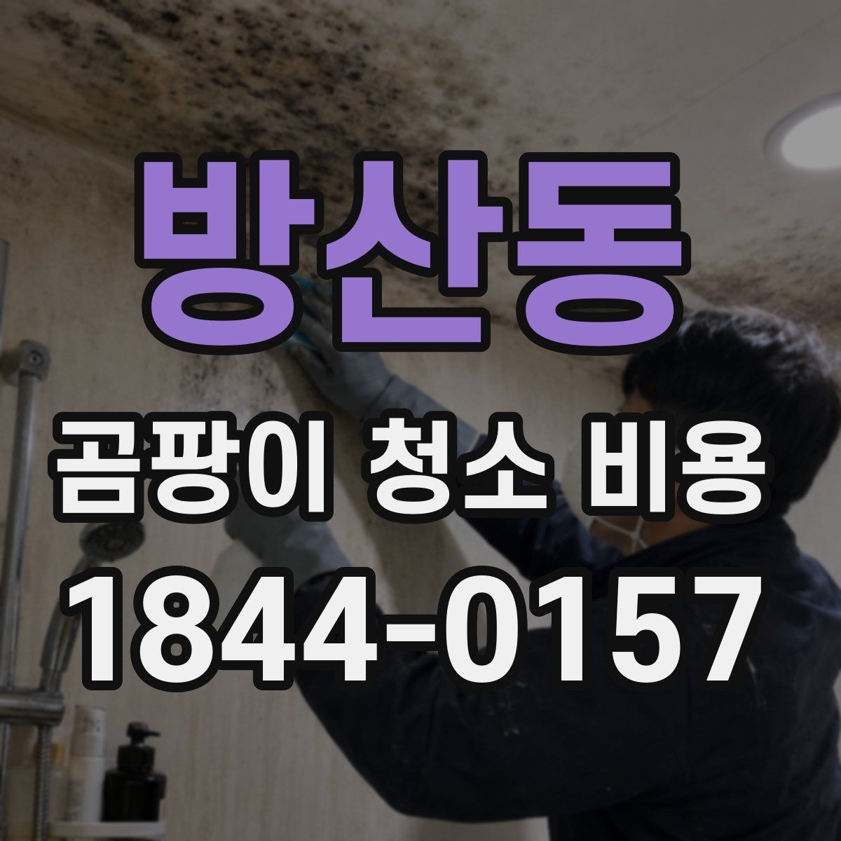 방산동 곰팡이 청소 비용