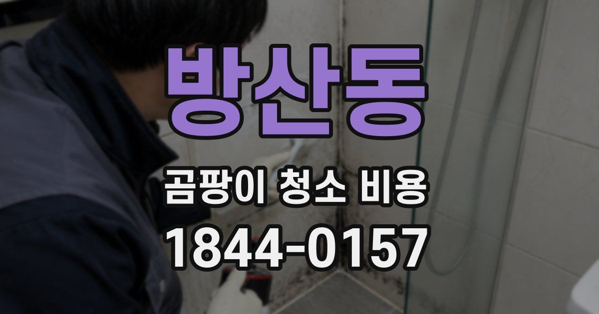 방산동 곰팡이 청소 비용