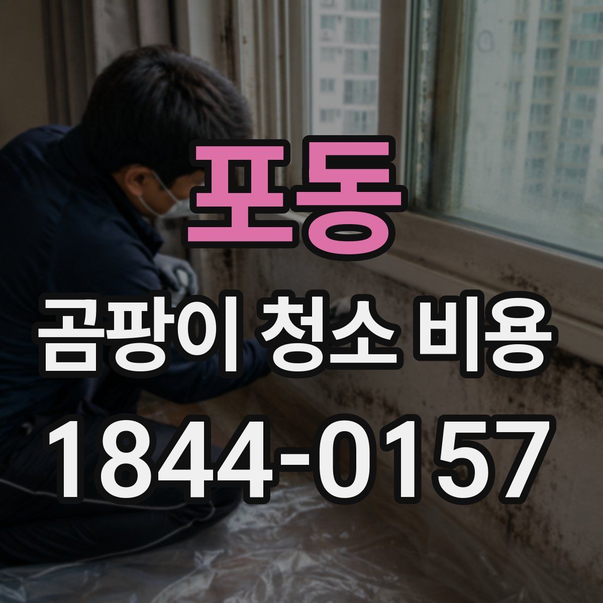포동 곰팡이 청소 비용