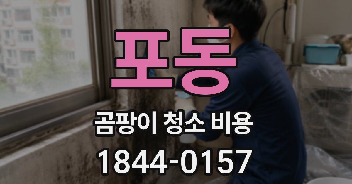 포동 곰팡이 청소 비용