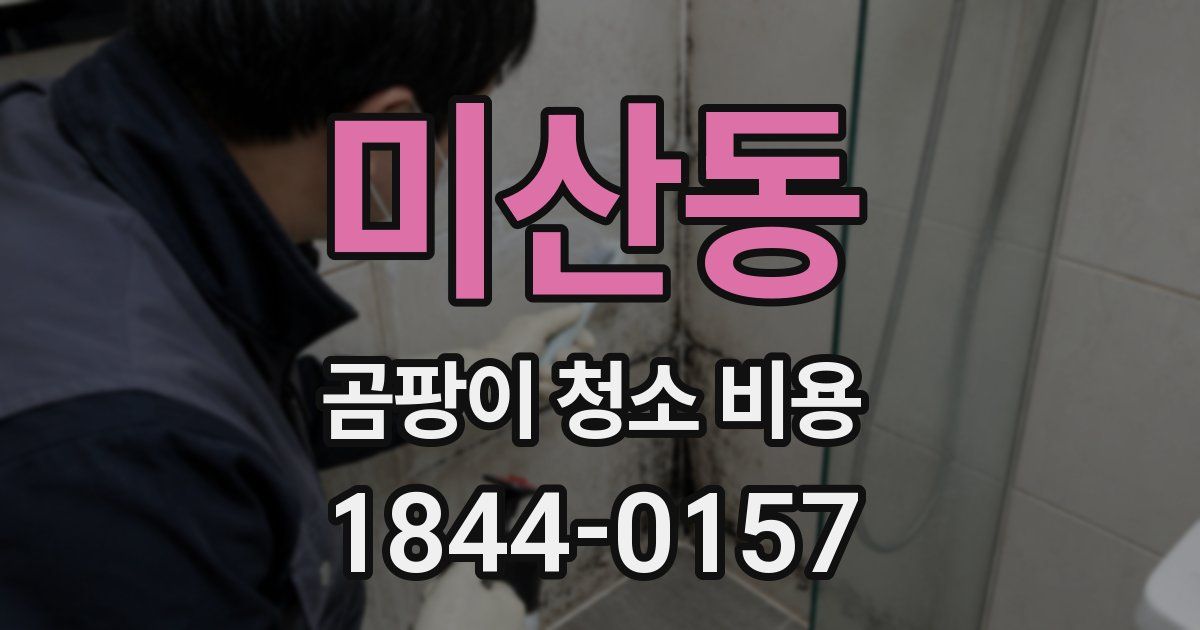 미산동 곰팡이 청소 비용