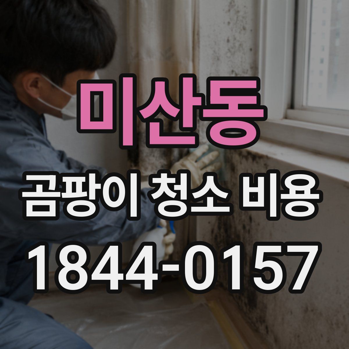 미산동 곰팡이 청소 비용