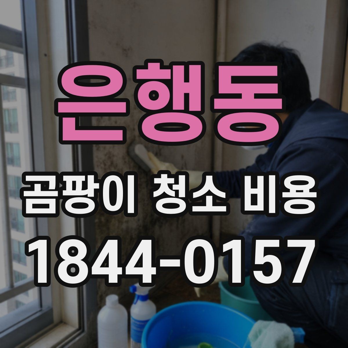 은행동 곰팡이 청소 비용 천장 작업이 더 까다롭게 느껴지는 까닭