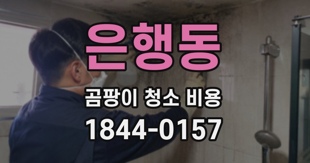 은행동 곰팡이 청소 비용