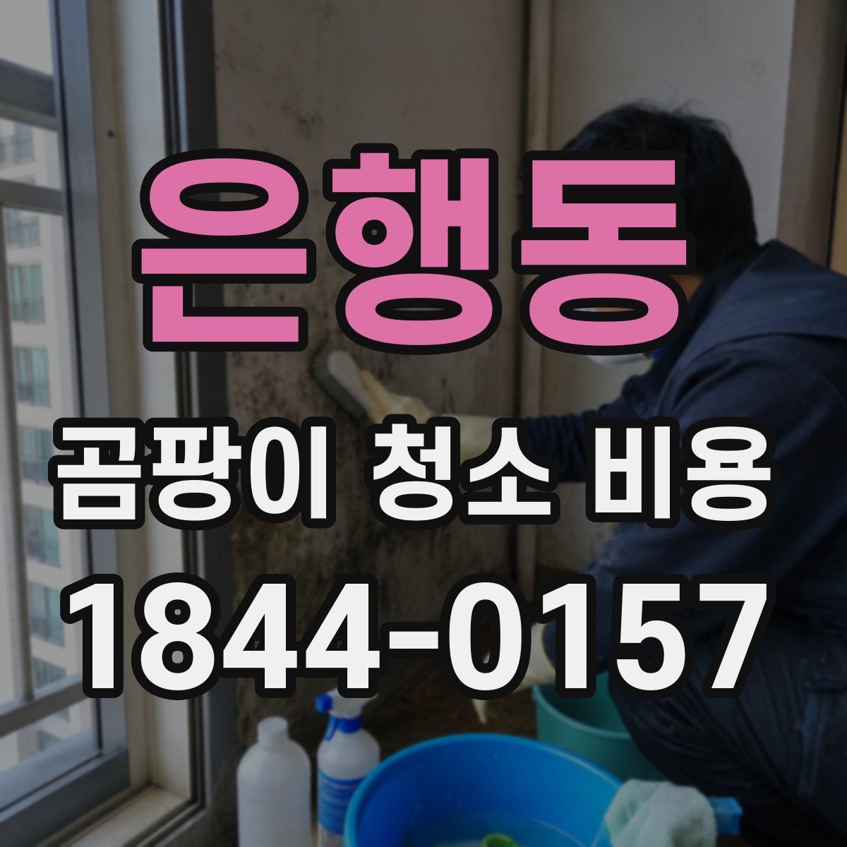 은행동 곰팡이 청소 비용