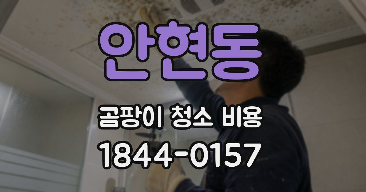 안현동 곰팡이 청소 비용