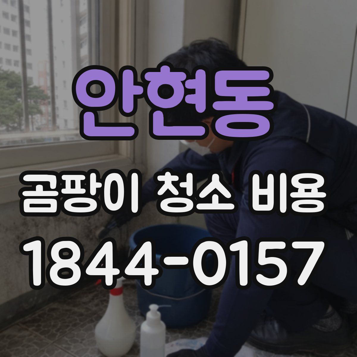 안현동 곰팡이 청소 비용