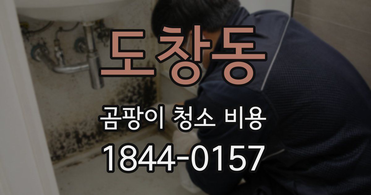 도창동 곰팡이 청소 비용