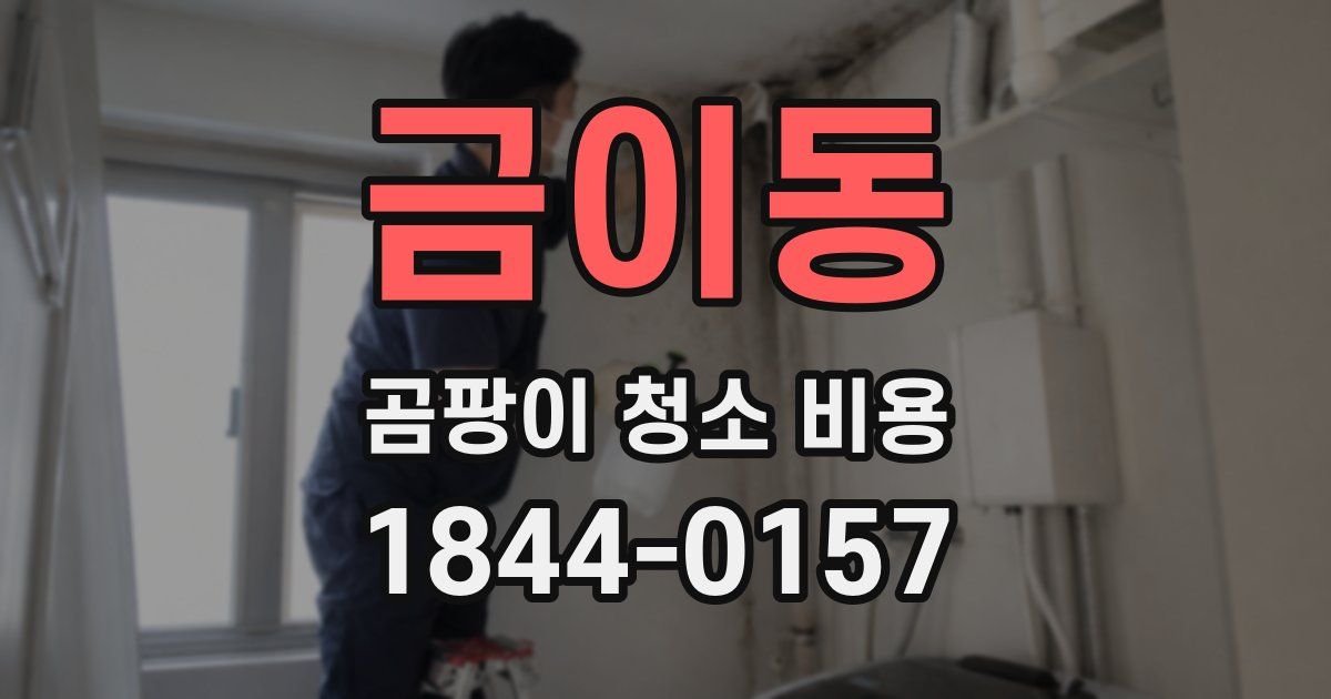 금이동 곰팡이 청소 비용