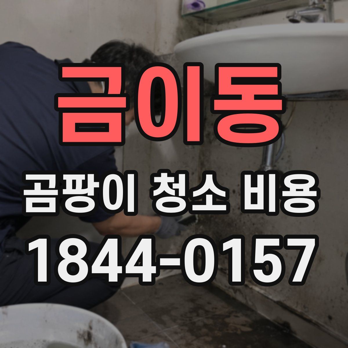 금이동 곰팡이 청소 비용