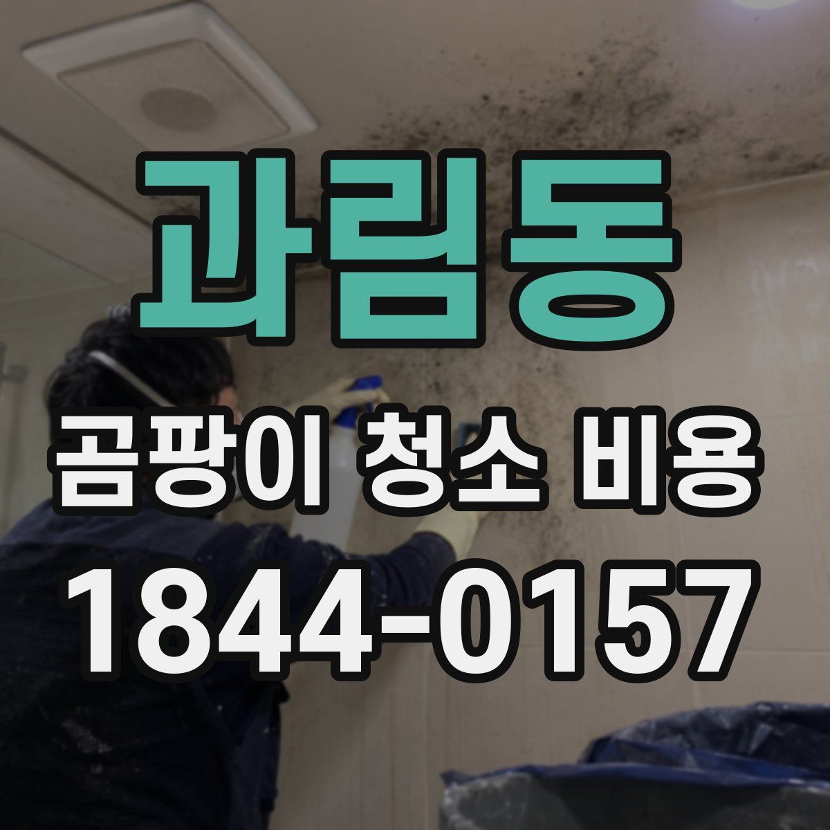 과림동 곰팡이 청소 비용