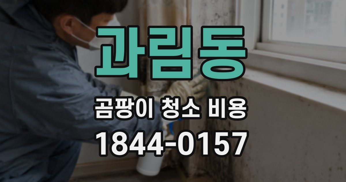 과림동 곰팡이 청소 비용