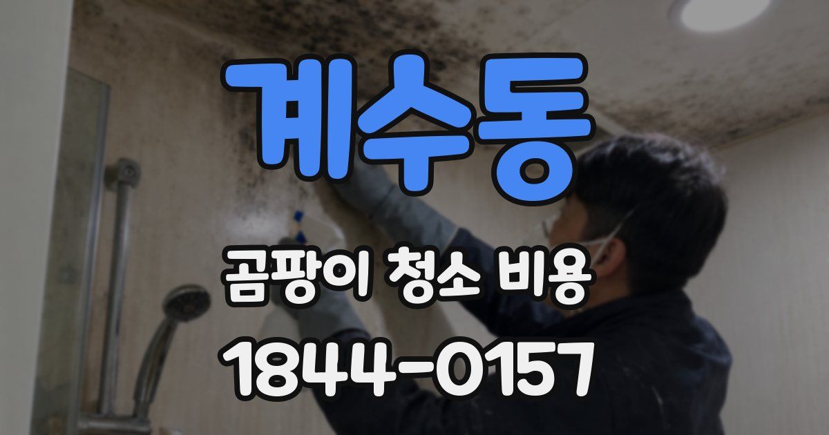 계수동 곰팡이 청소 비용