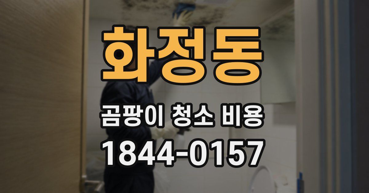 화정동 곰팡이 청소 비용