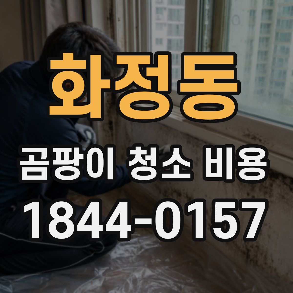 화정동 곰팡이 청소 비용