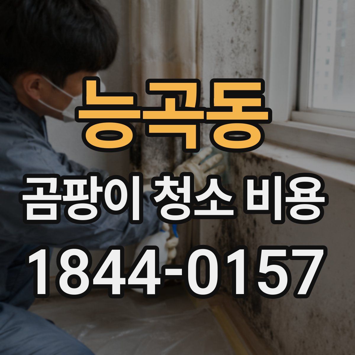 능곡동 곰팡이 청소 비용