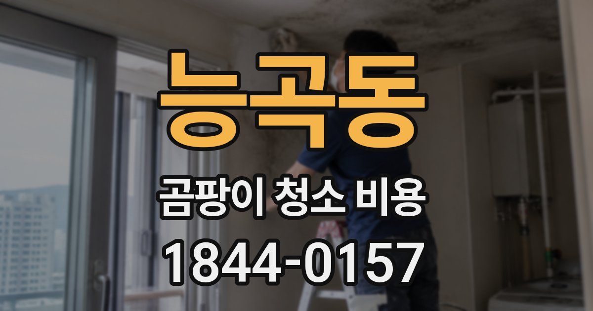 능곡동 곰팡이 청소 비용