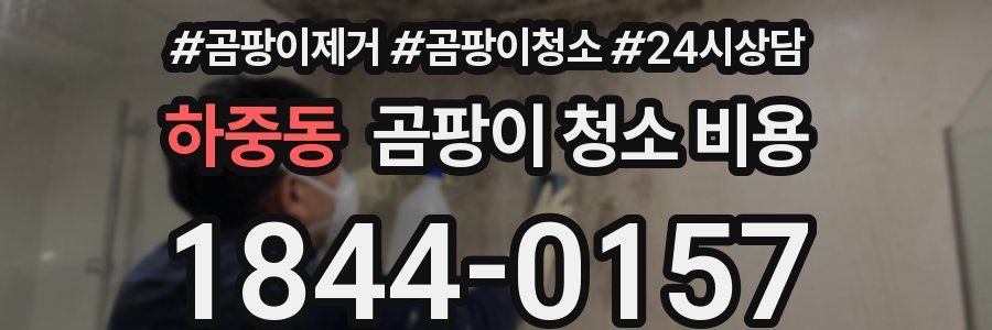 하중동 곰팡이 청소 비용