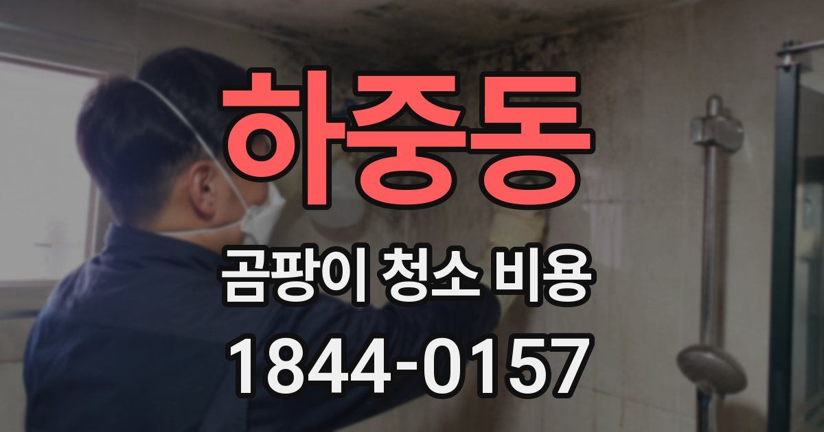 하중동 곰팡이 청소 비용