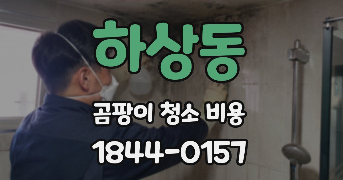 하상동 곰팡이 청소 비용