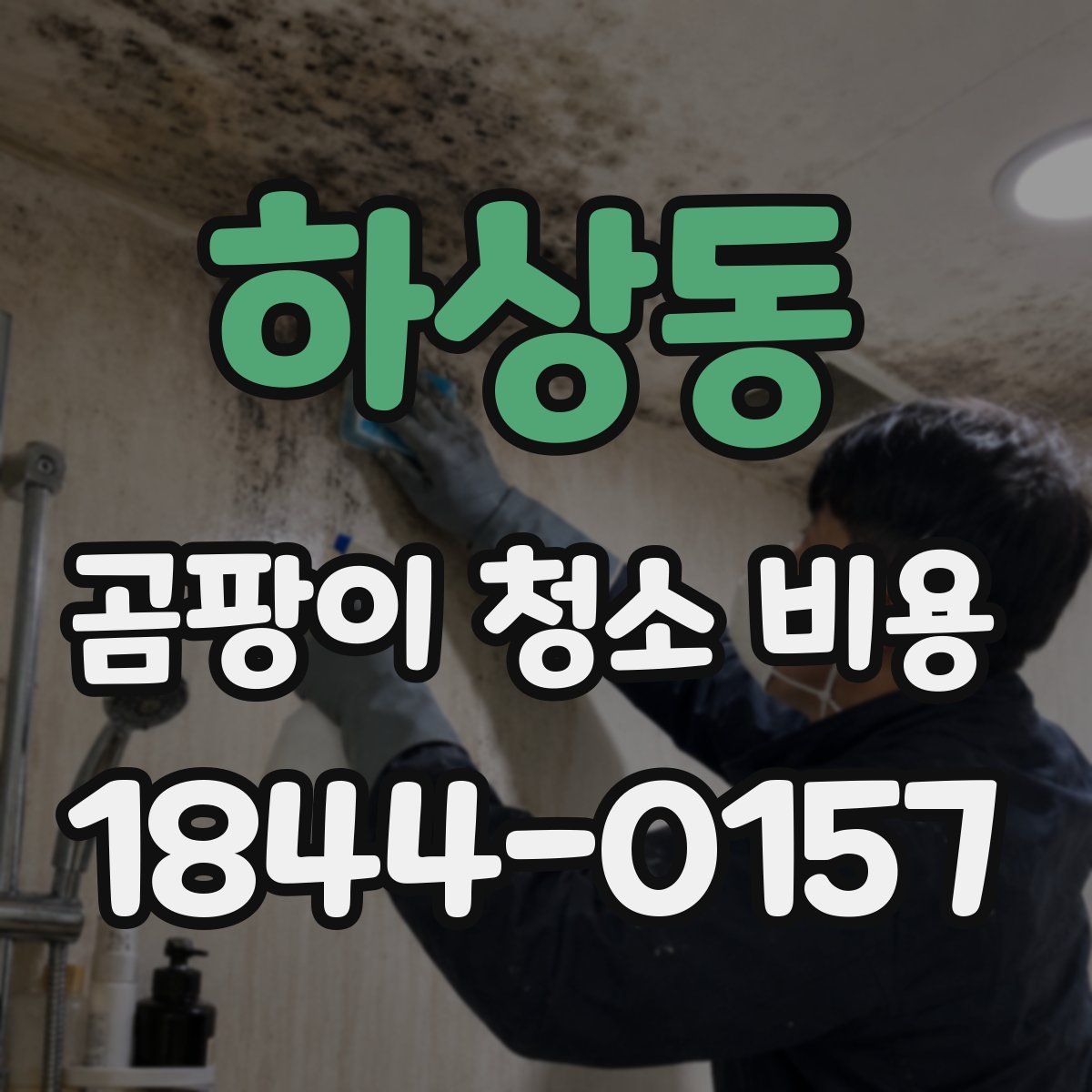 하상동 곰팡이 청소 비용