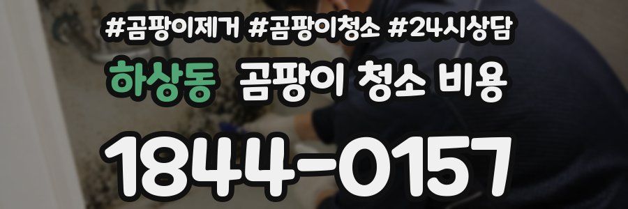 하상동 곰팡이 청소 비용