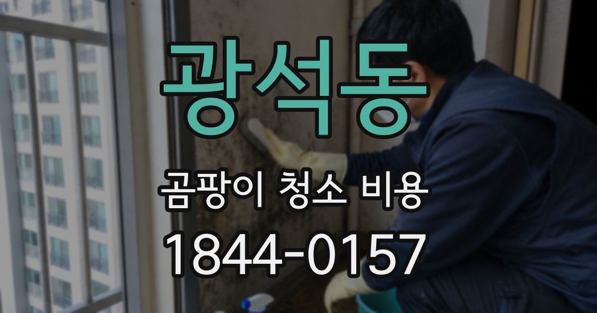 광석동 곰팡이 청소 비용