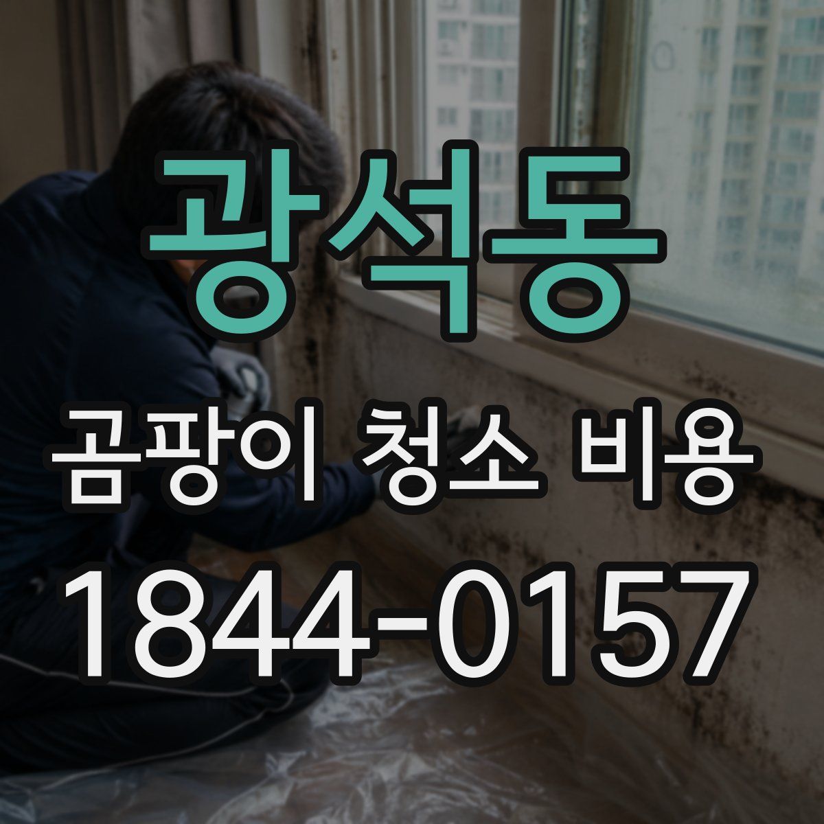 광석동 곰팡이 청소 비용
