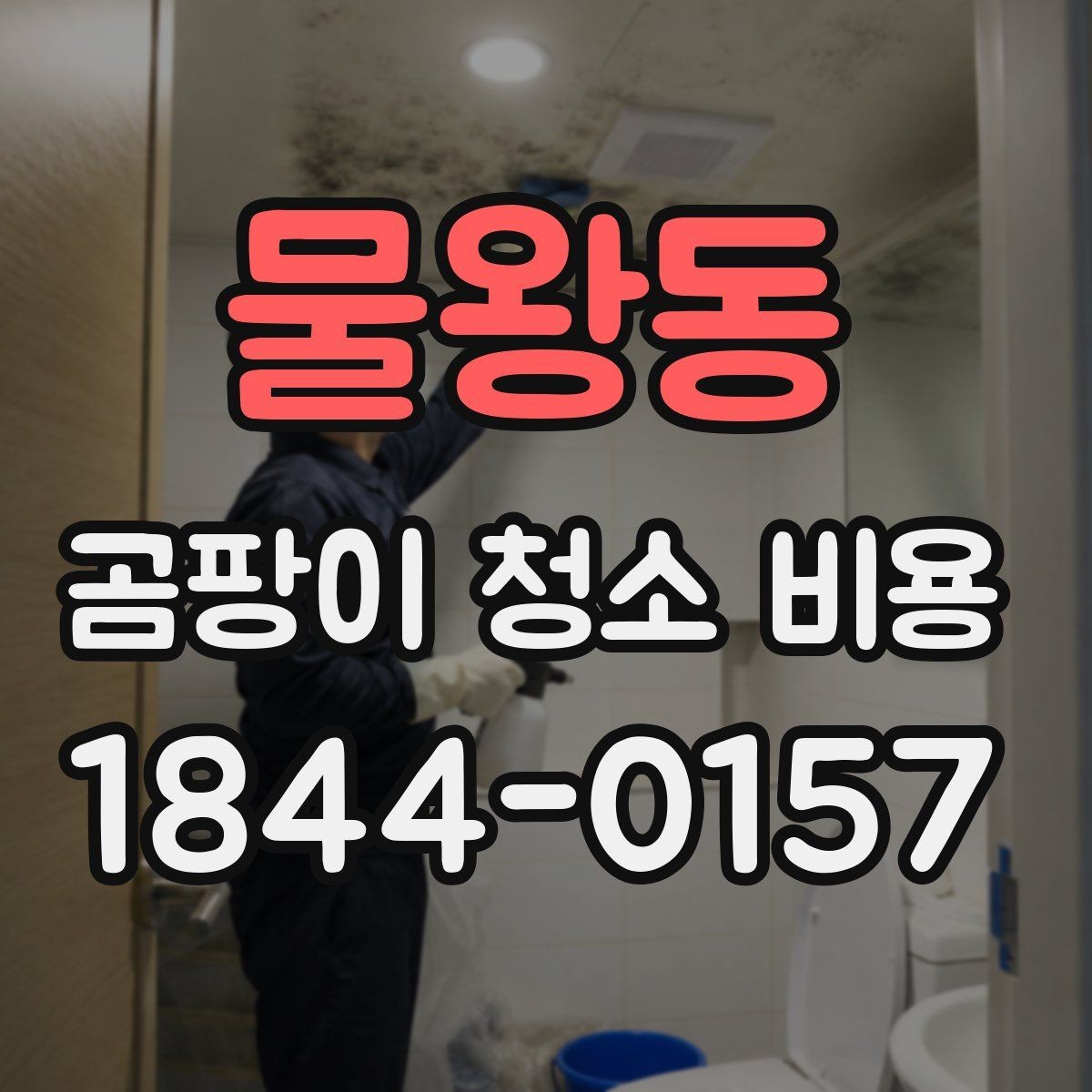 물왕동 곰팡이 청소 비용 아이 있는 집에서 안전하게 진행하는 순서
