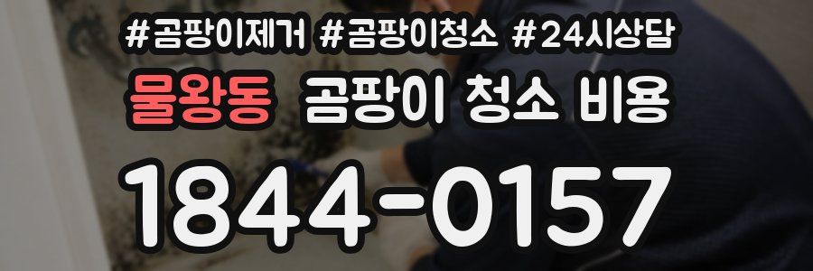 물왕동 곰팡이 청소 비용