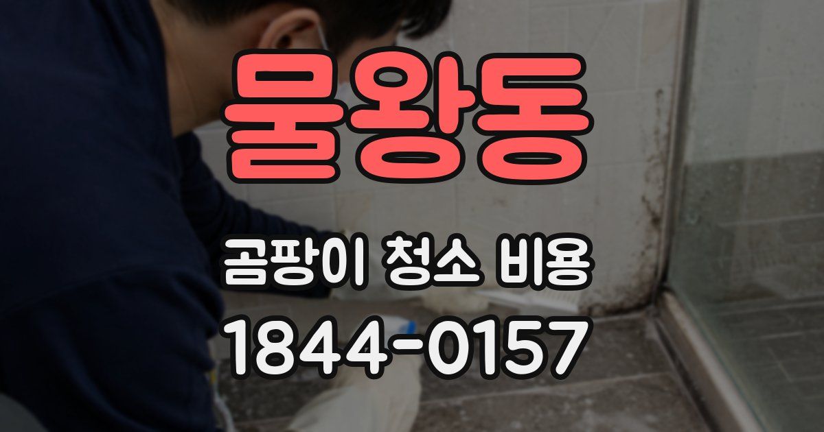 물왕동 곰팡이 청소 비용