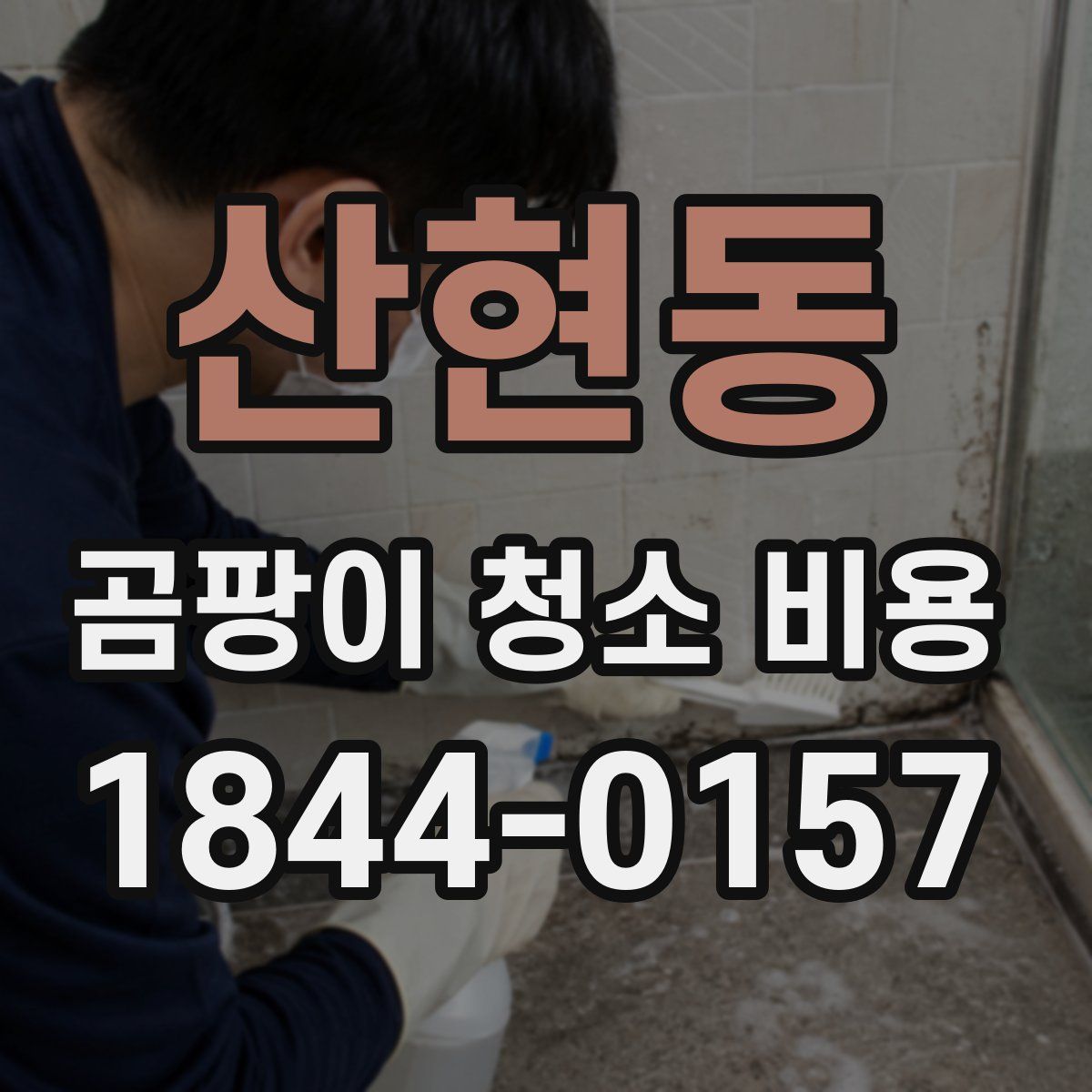 산현동 곰팡이 청소 비용