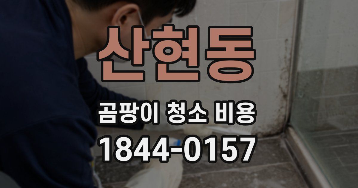 산현동 곰팡이 청소 비용