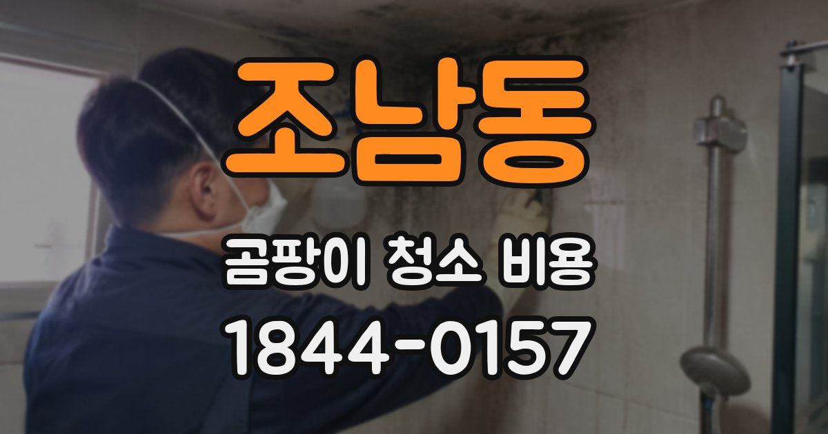 조남동 곰팡이 청소 비용