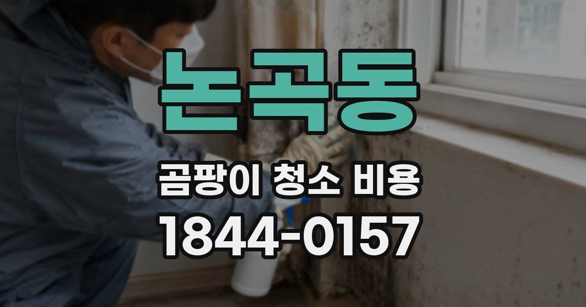 논곡동 곰팡이 청소 비용
