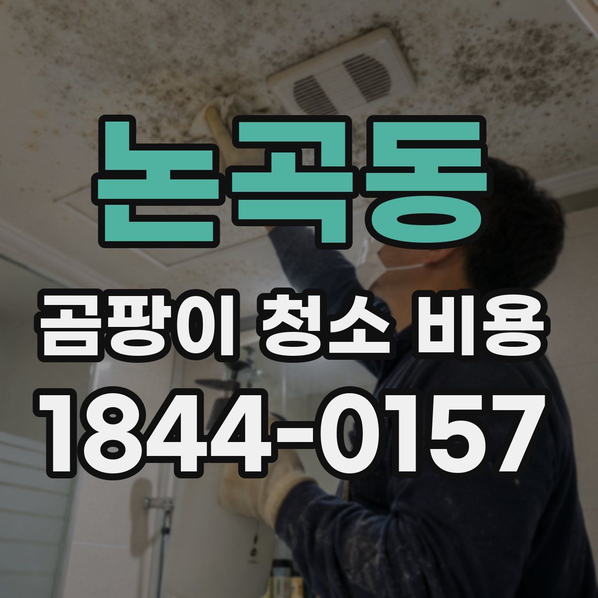 논곡동 곰팡이 청소 비용