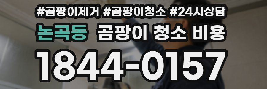 논곡동 곰팡이 청소 비용