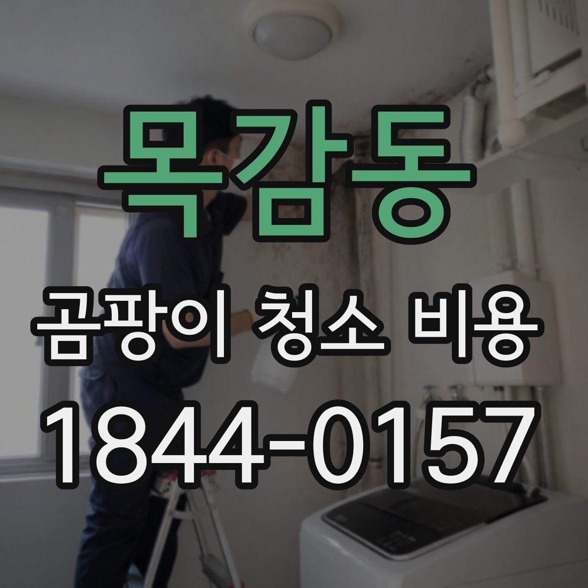 목감동 곰팡이 청소 비용
