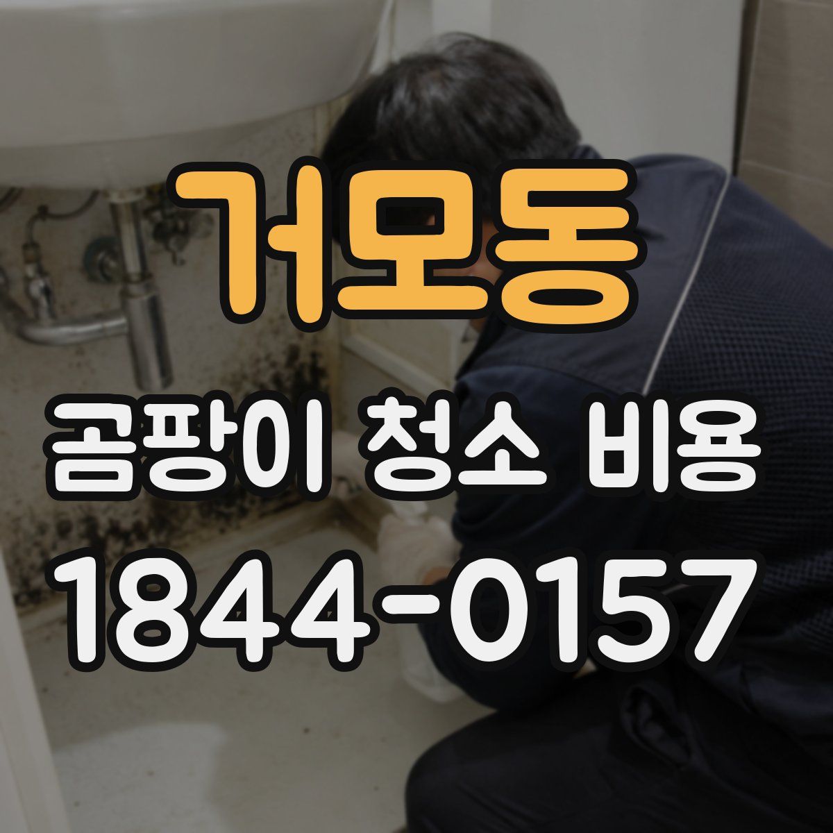 거모동 곰팡이 청소 비용