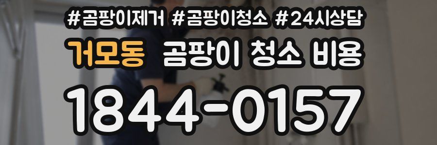 거모동 곰팡이 청소 비용