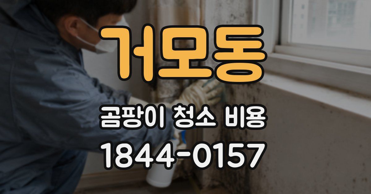 거모동 곰팡이 청소 비용