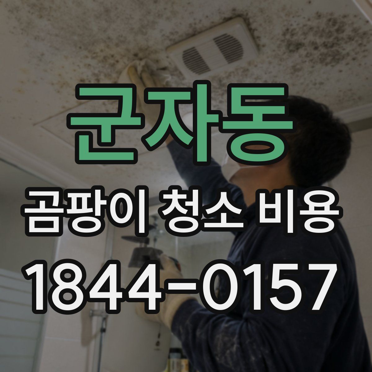 군자동 곰팡이 청소 비용
