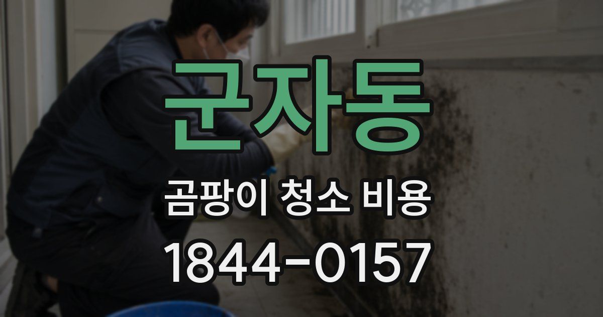 군자동 곰팡이 청소 비용