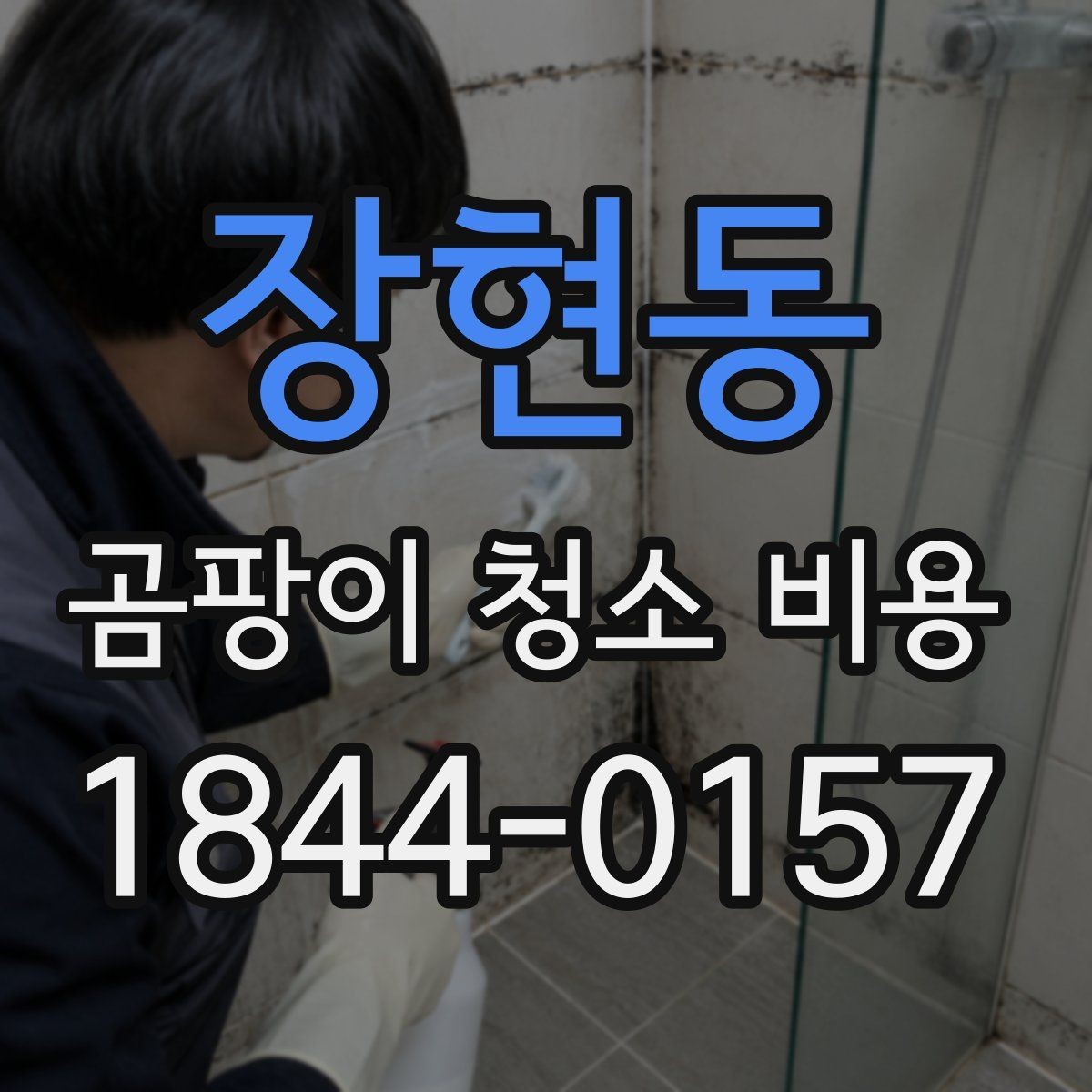 장현동 곰팡이 청소 비용 결로 원인 점검이 함께 필요한 경우