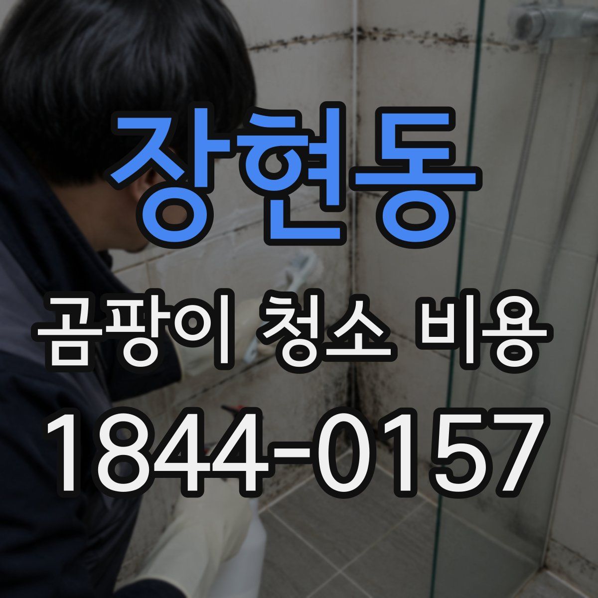 장현동 곰팡이 청소 비용
