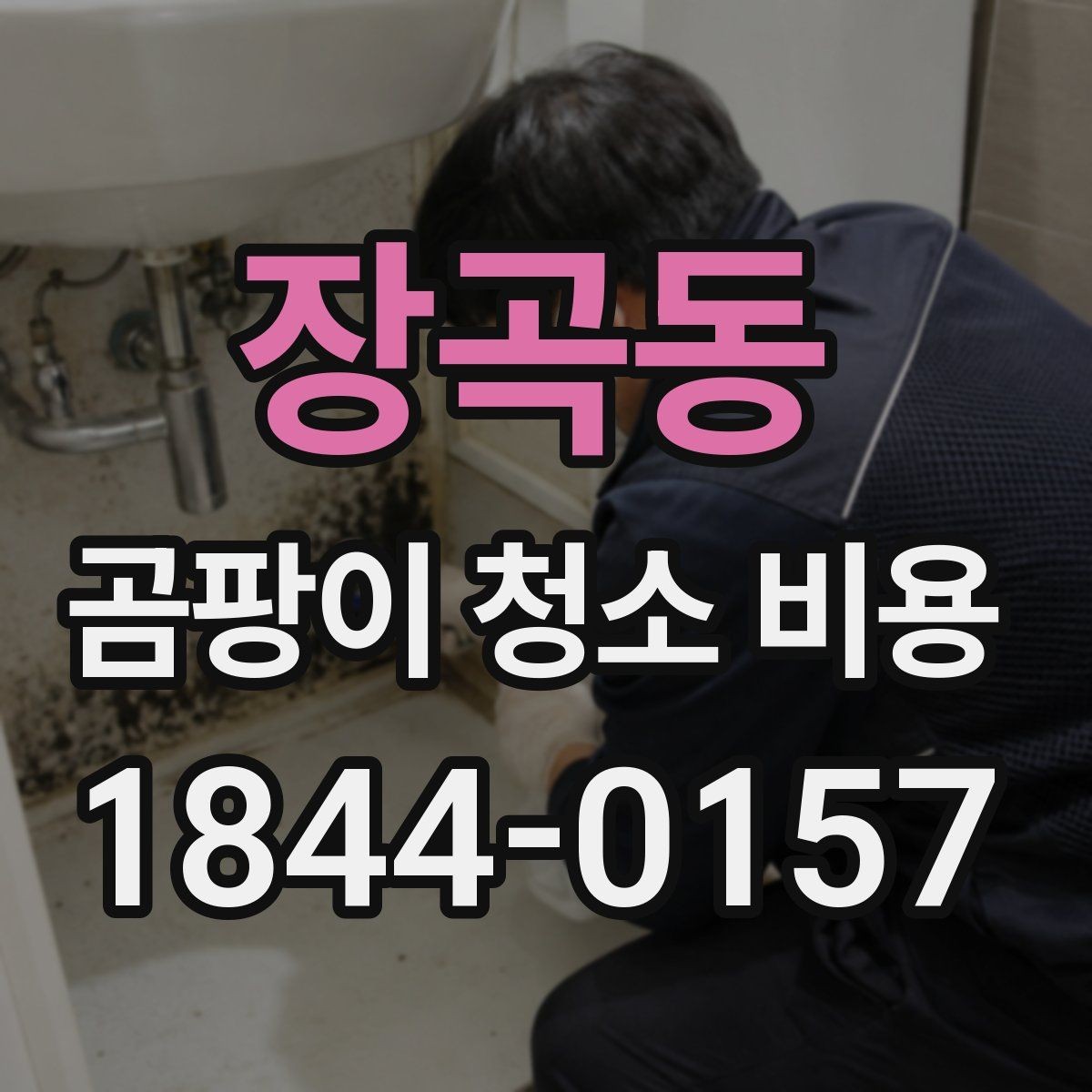 장곡동 곰팡이 청소 비용 사진만으로 알 수 없는 부분