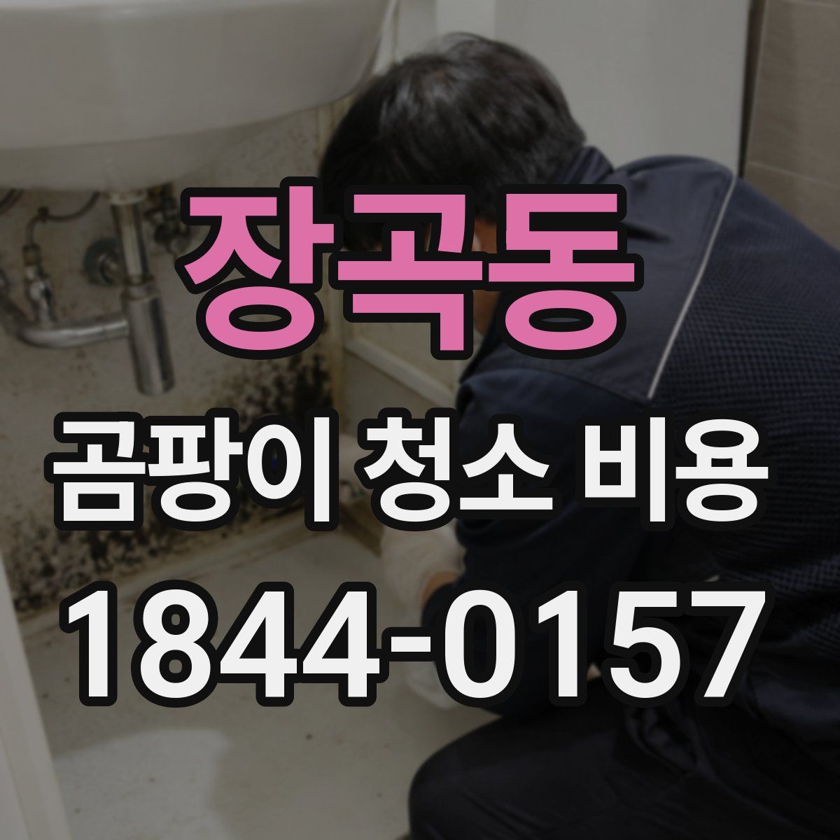 장곡동 곰팡이 청소 비용