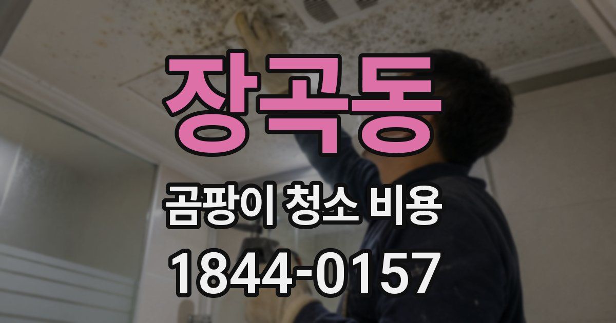 장곡동 곰팡이 청소 비용