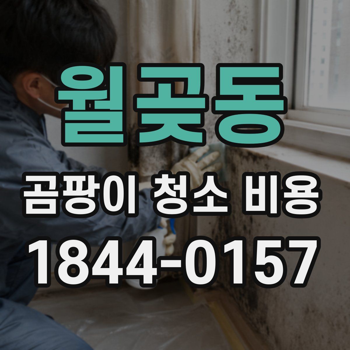 월곶동 곰팡이 청소 비용